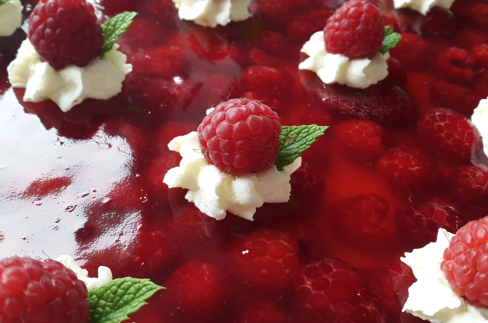 Himbeer-Joghurt-Schnitten