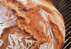 Münsterländer Bauernkruste - Website