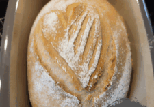 Weizenknuspterle web